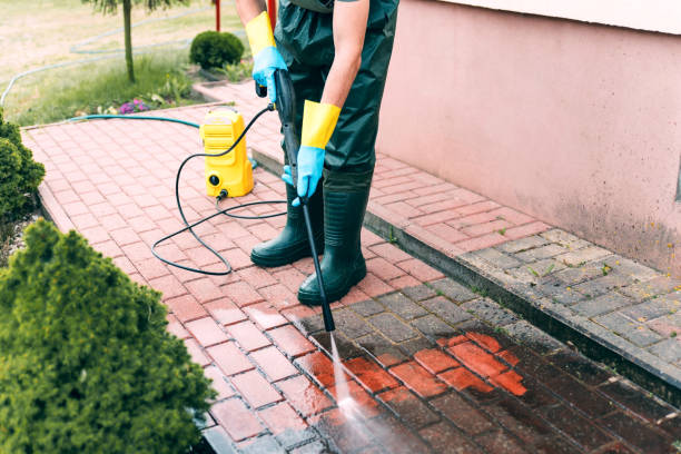 Best Driveway Pressure Washing  in Great Falls, MT